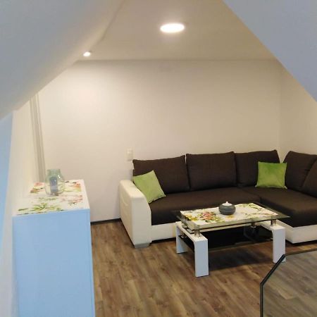 Ferienhaus Bauer Wohnung 2 Trattenbach  外观 照片