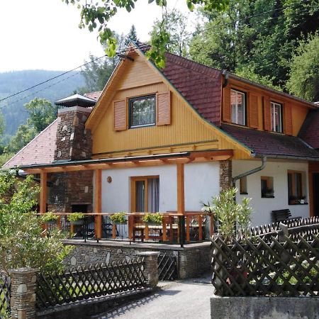 Ferienhaus Bauer Wohnung 2 Trattenbach  外观 照片