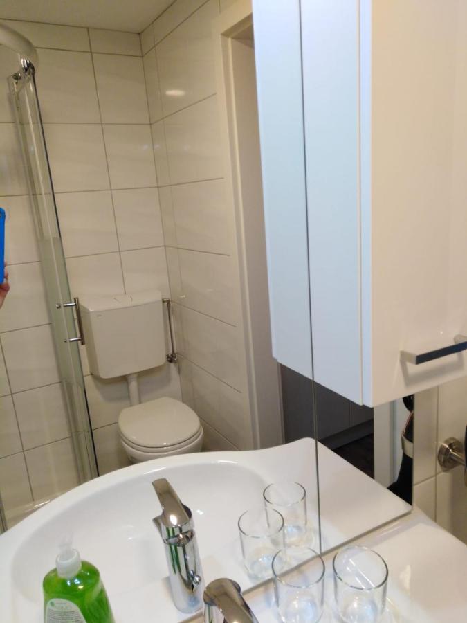 Ferienhaus Bauer Wohnung 2 Trattenbach  外观 照片