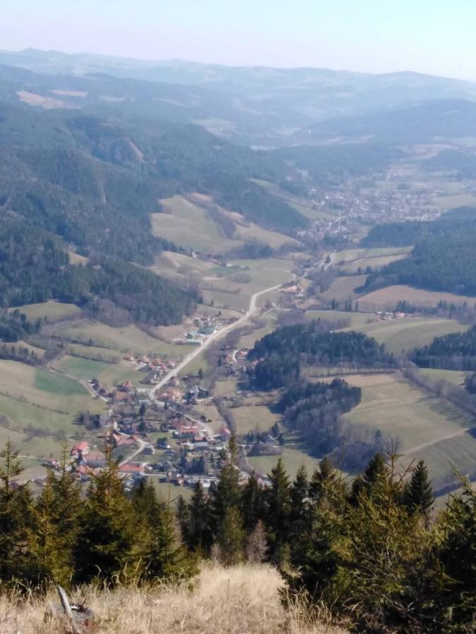 Ferienhaus Bauer Wohnung 2 Trattenbach  外观 照片
