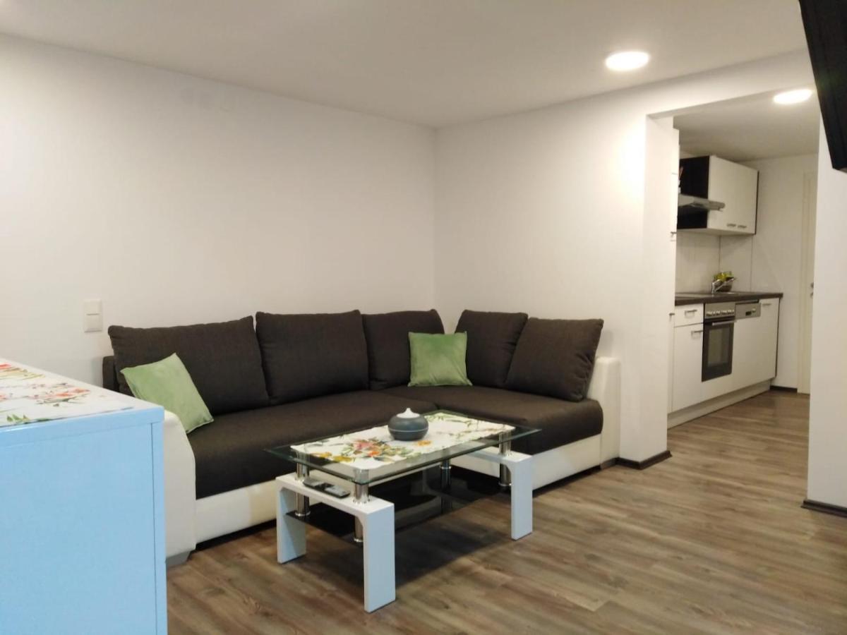 Ferienhaus Bauer Wohnung 2 Trattenbach  外观 照片