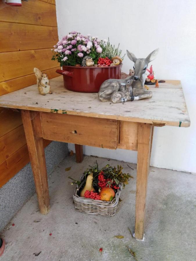 Ferienhaus Bauer Wohnung 2 Trattenbach  外观 照片